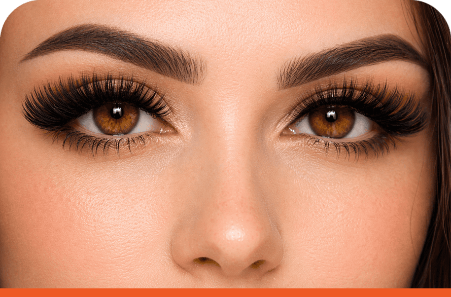 eyelash b