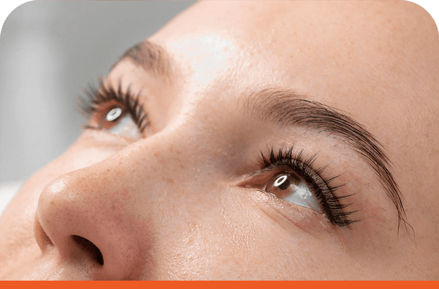 eyelash d
