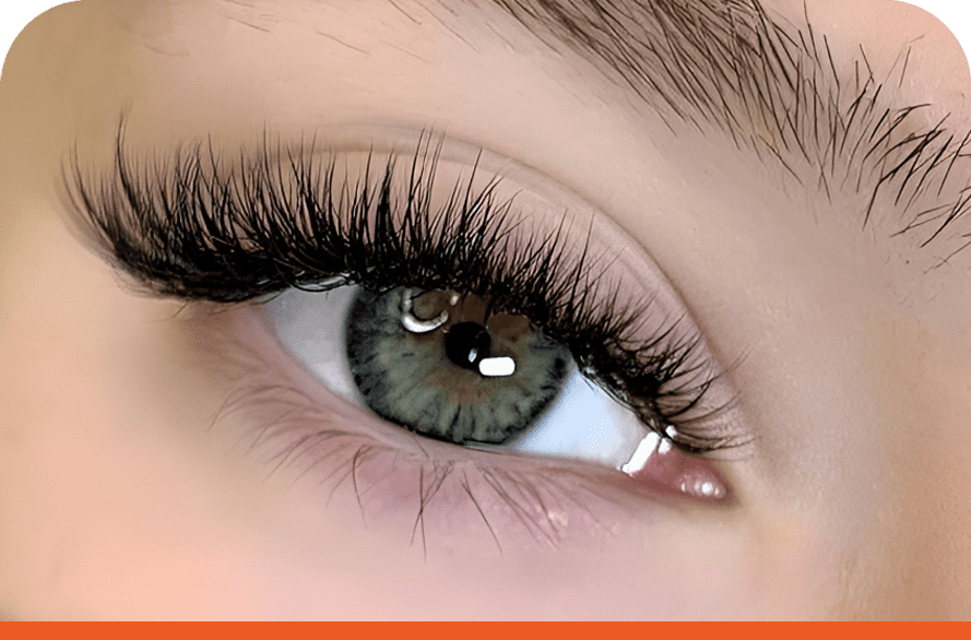 eyelash f