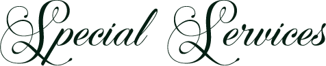special services green